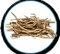 Eleutherococcus Senticosus Root