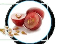 Grape Seed