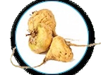 Maca Root