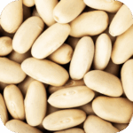Phosphatidylserine (PHE)